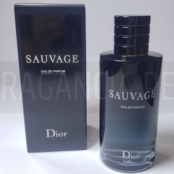 Sauvage-EDP-01 COlecciones